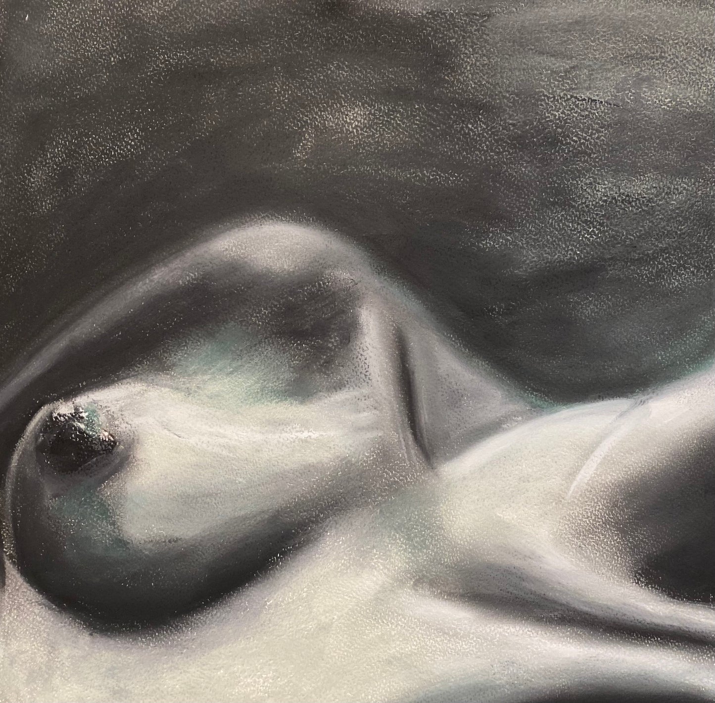 Black and white nude by Ludwina Dautovic