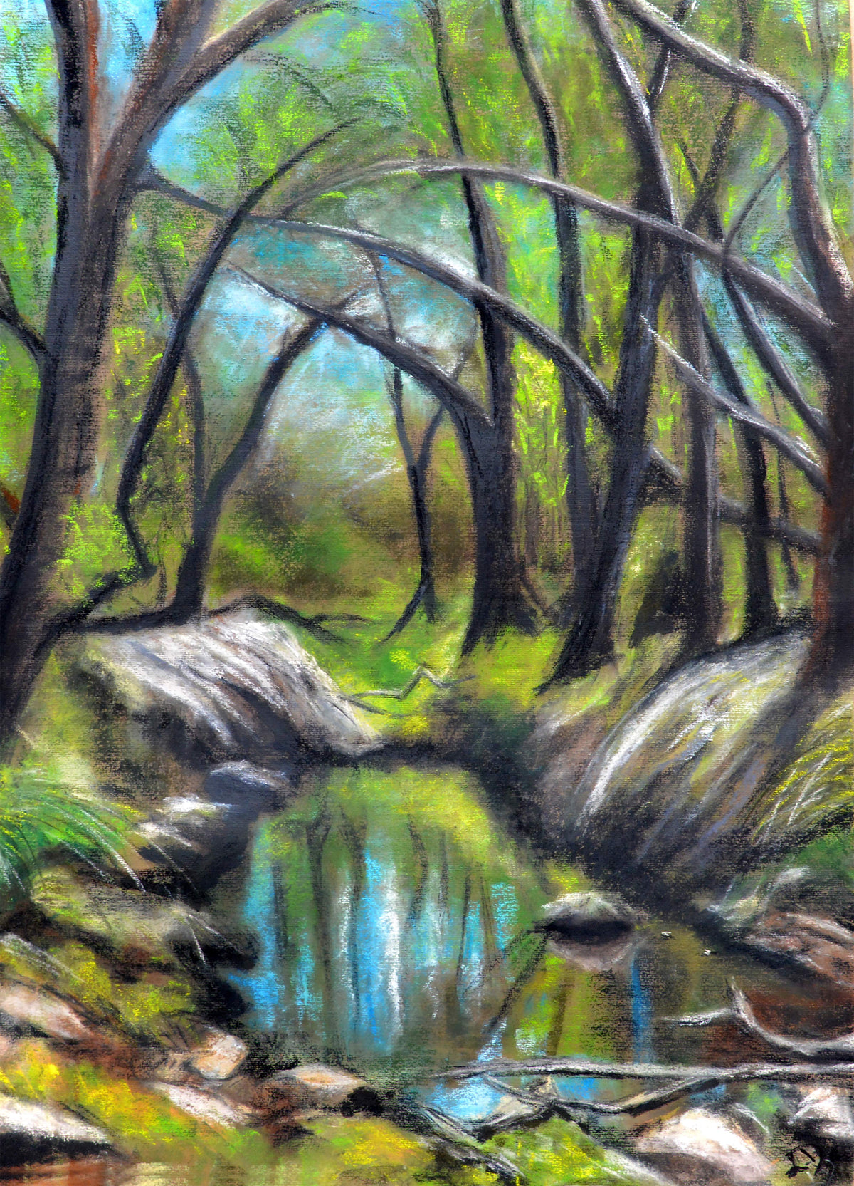 Everglades – original soft pastel painting of a dark forest stream with moss-covered rocks, lush green canopy, and bare arching tree trunks, by Ludwina Orchard
